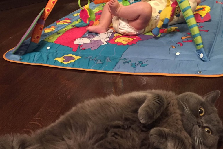 младенец и кошка в доме